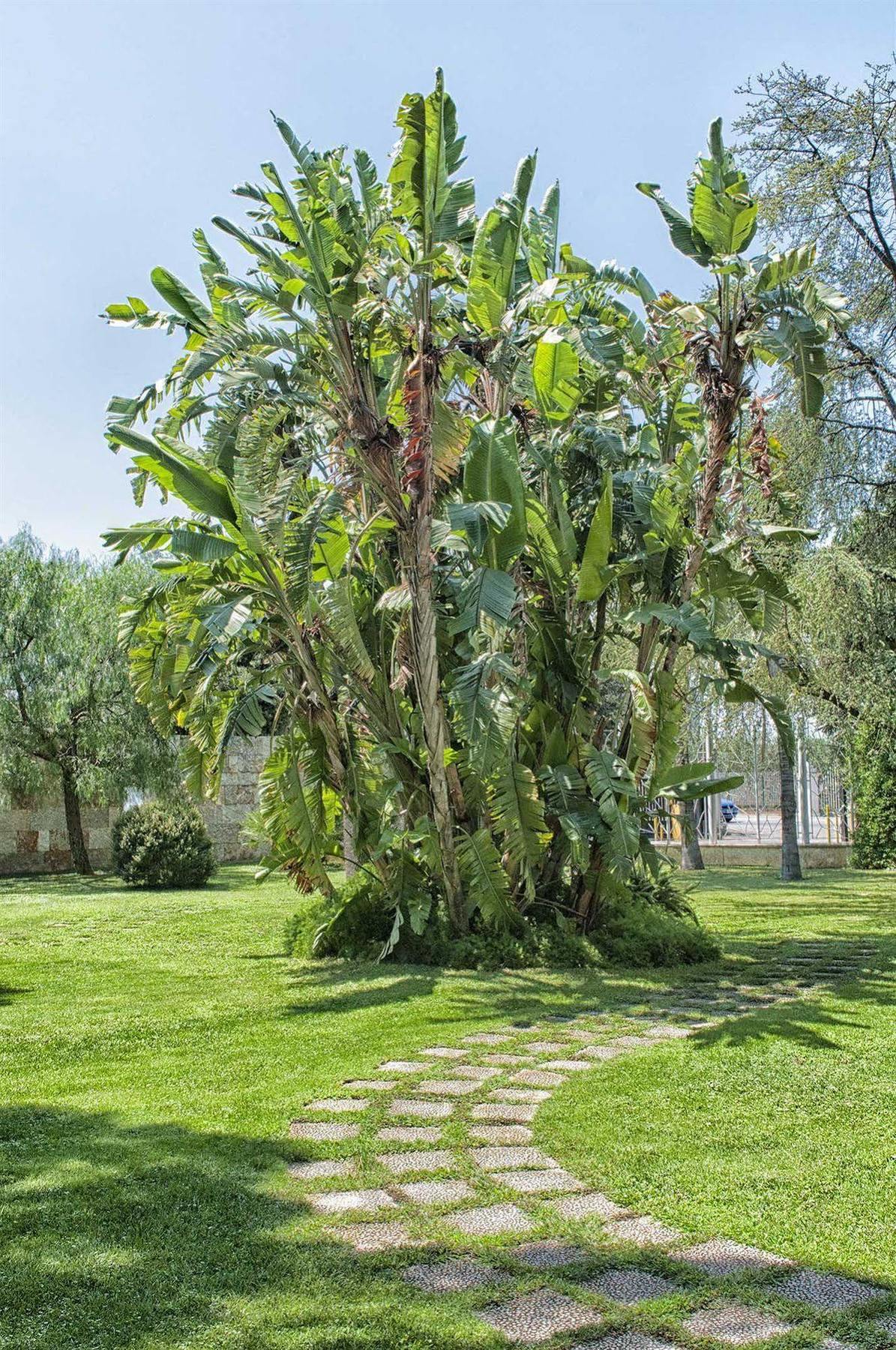Garden Hotel Molfetta Eksteriør billede
